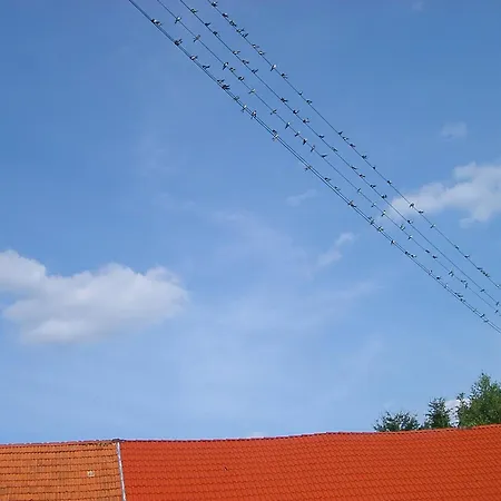 Lauberhof Trippstadt