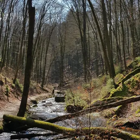 Lauberhof Nyaraló *